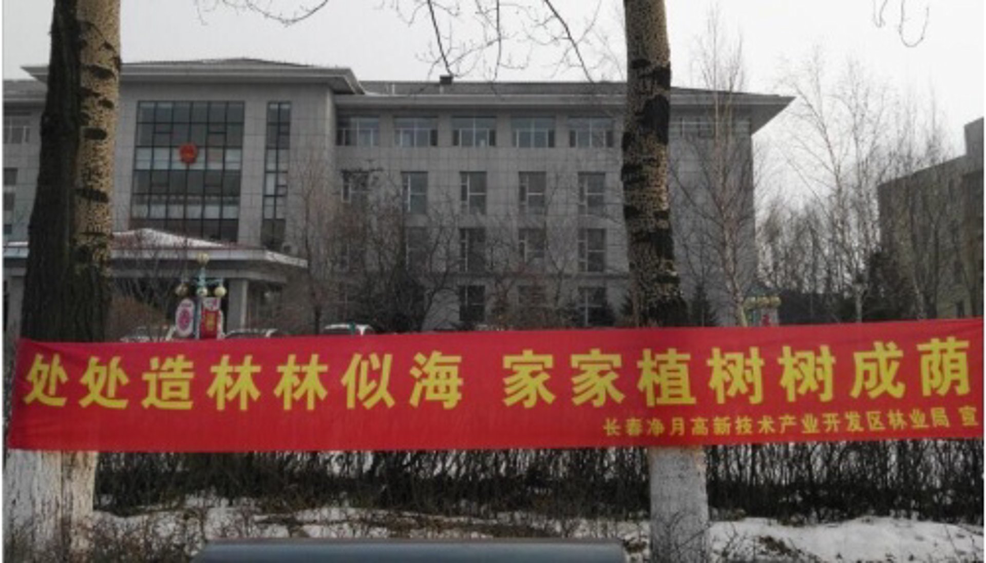 鹏辉园林绿化